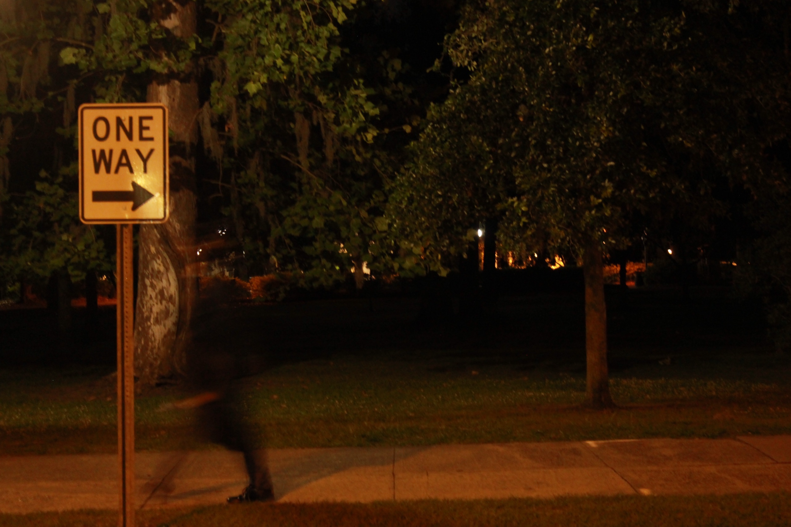 The ONE WAY night scene returning as a narrow moving aperture.